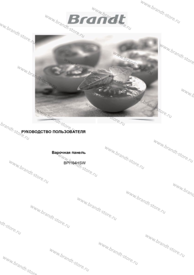 Brandt BPI164HSW - Руководство пользователя 